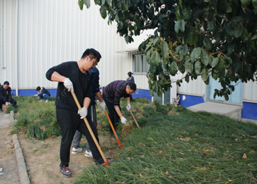 情暖三月雷鋒日，栽種綠植添春光